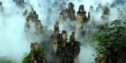 湖南张家界的吃瓜事件,一场引发热议的街头冲突纪实