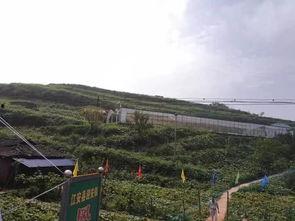 岚山摄影吃瓜事件,一场吃瓜群众的围观盛宴