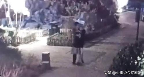 青州历山吃瓜事件视频曝光,视频曝光揭示惊人真相