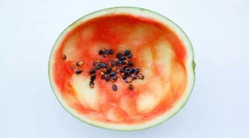 仁怀吃瓜事件真相视频,真相视频曝光背后的惊人内幕