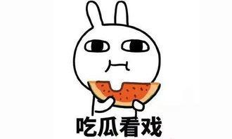 如何找吃瓜事件的人联系,如何轻松追踪热门吃瓜事件的幕后推手