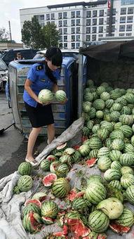 丰县卖衣服吃瓜事件,一场吃瓜群众的狂欢与反思