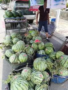 韩城近期吃瓜事件,揭秘近期热议事件背后的真相