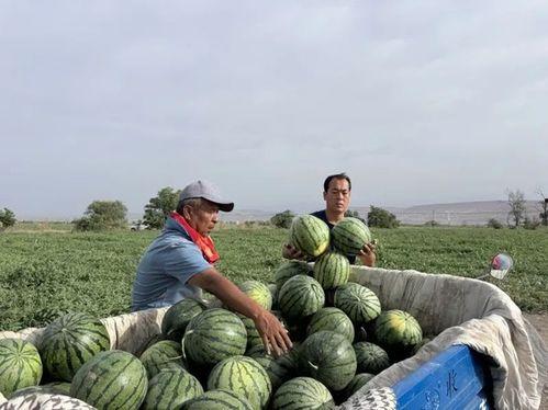 前几天湖北吃瓜事件,一场网络舆论的风波与反思